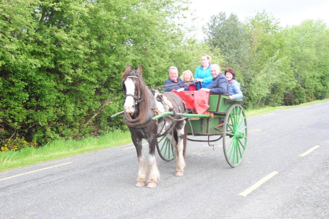 Wayside B&B V93Xk6C Beaufort Buitenkant foto